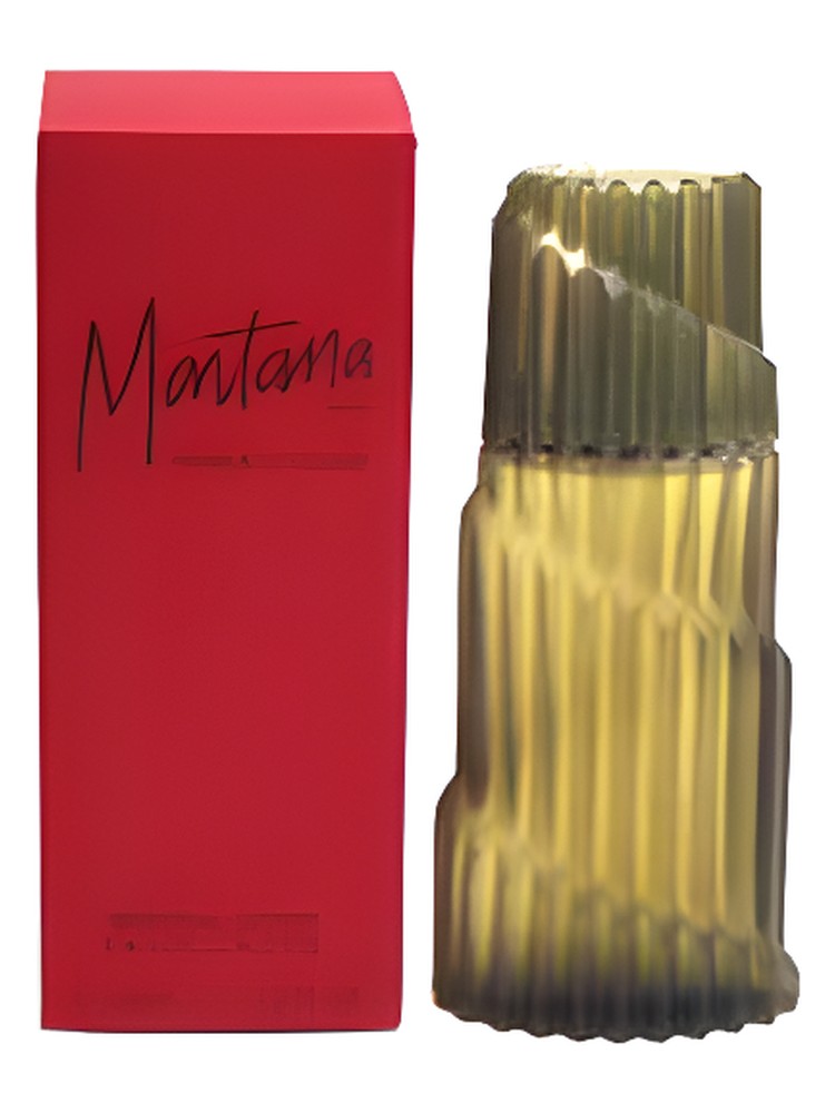Montana Parfum d’Homme – Montana