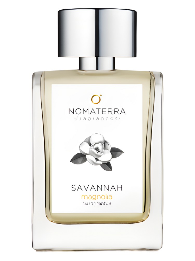 Savannah Magnolia – Nomaterra