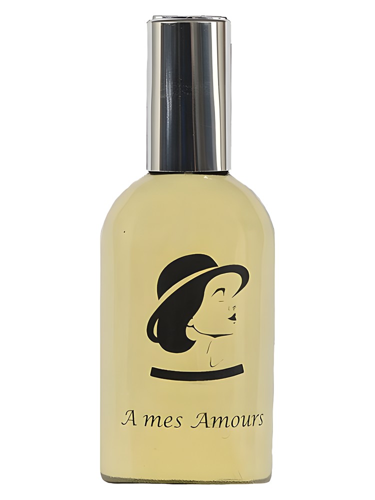 A Mes Amours – Ann Steeger