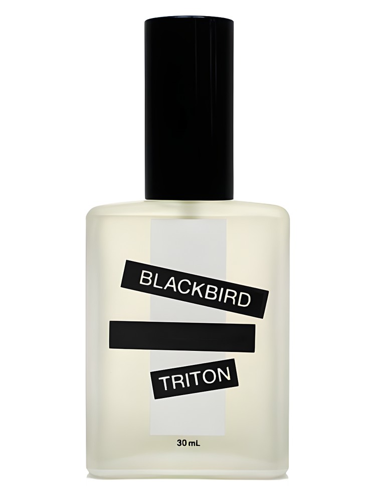 Triton – Blackbird
