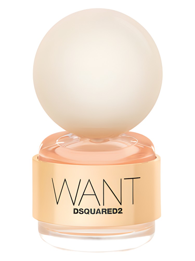 Want – DSQUARED²
