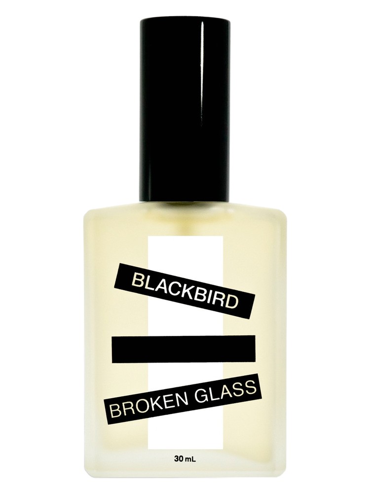 Broken Glass – Blackbird