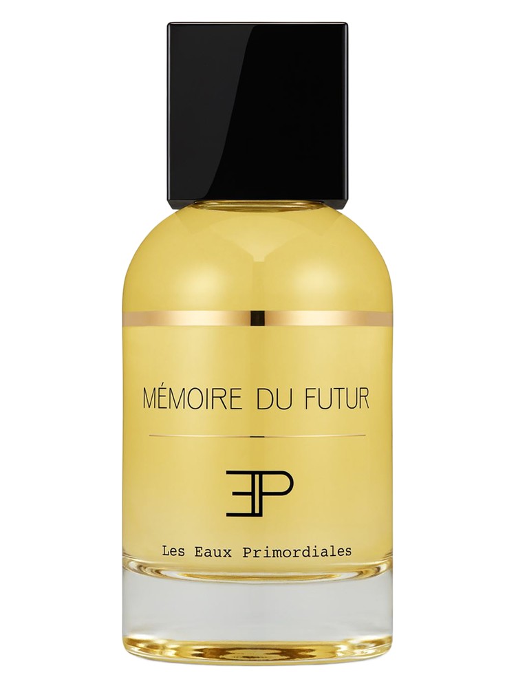 Memoire du Futur – Les EAUX Primordiales