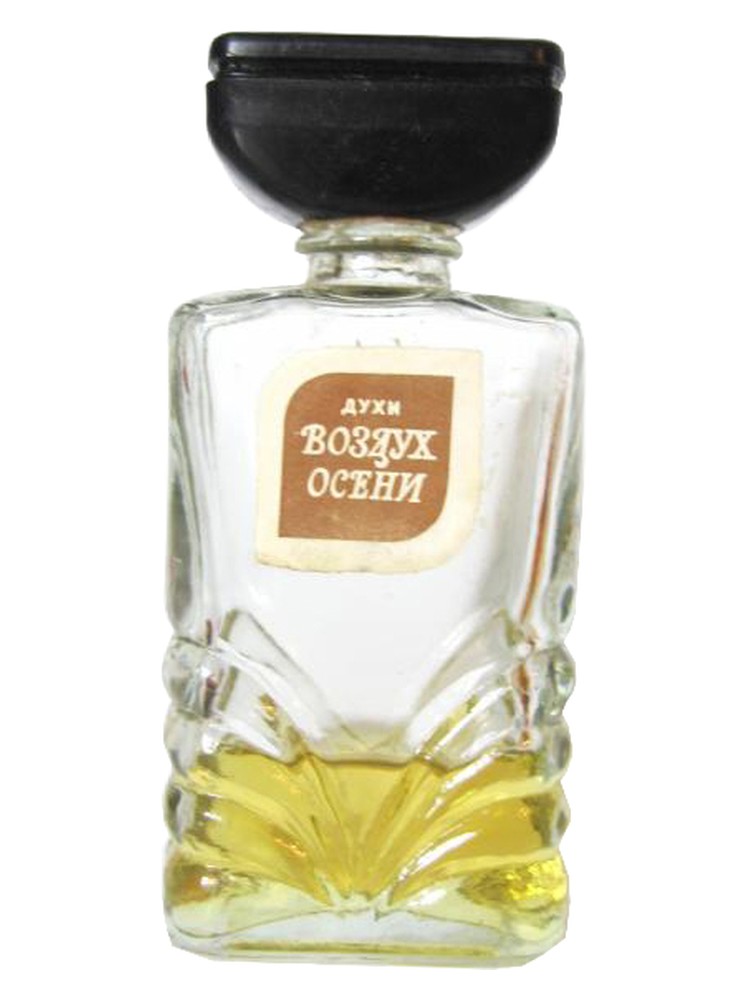 Воздух Осени (Air of Autumn) – Северное сияние