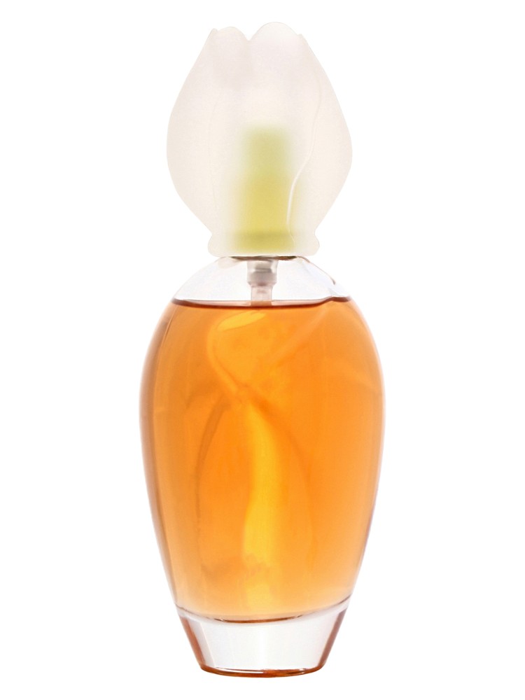 Fleur de Narcisse – Chloé