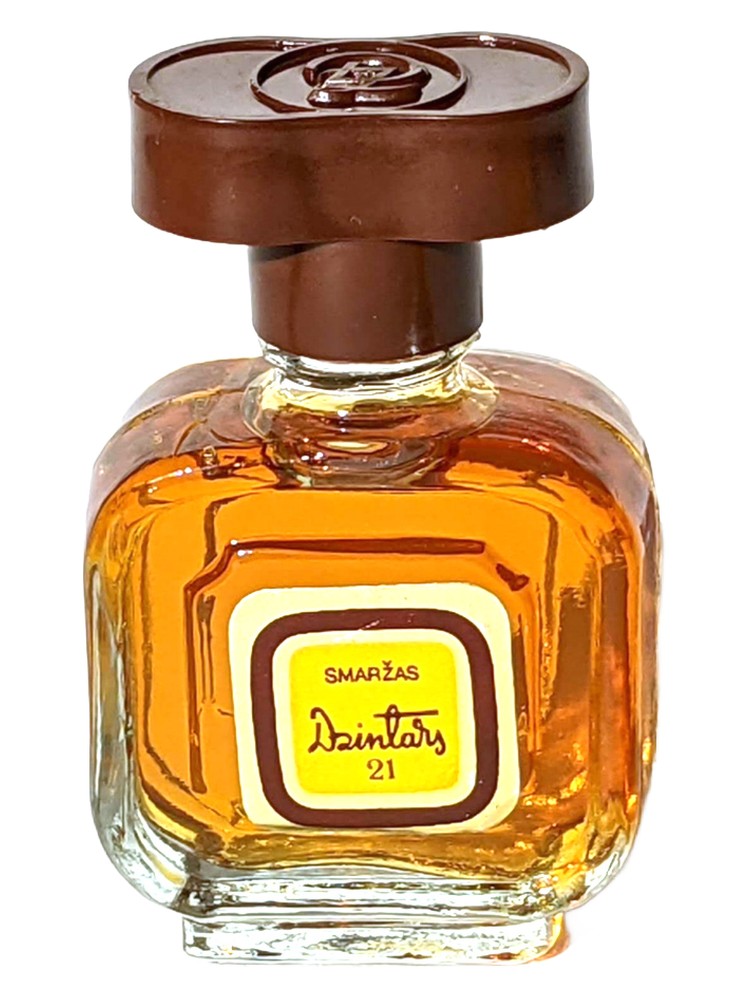 Dzintars 21 – Dzintars