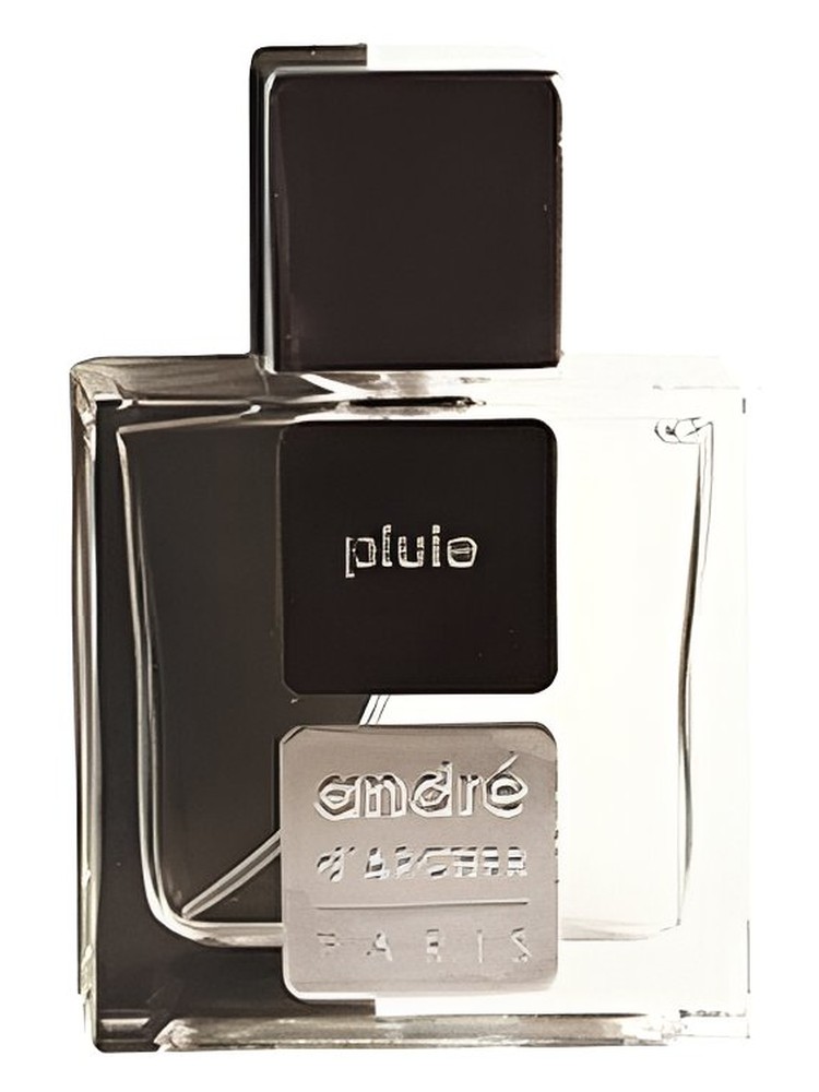 Pluie – Andre d'Archer