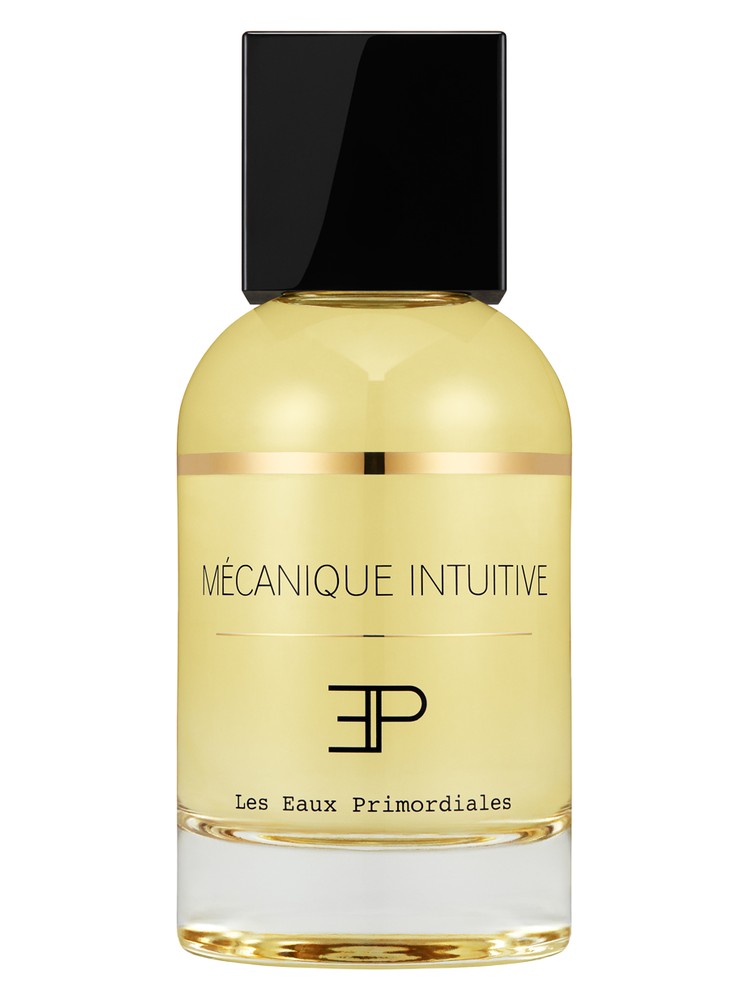 Mécanique Intuitive – Les EAUX Primordiales