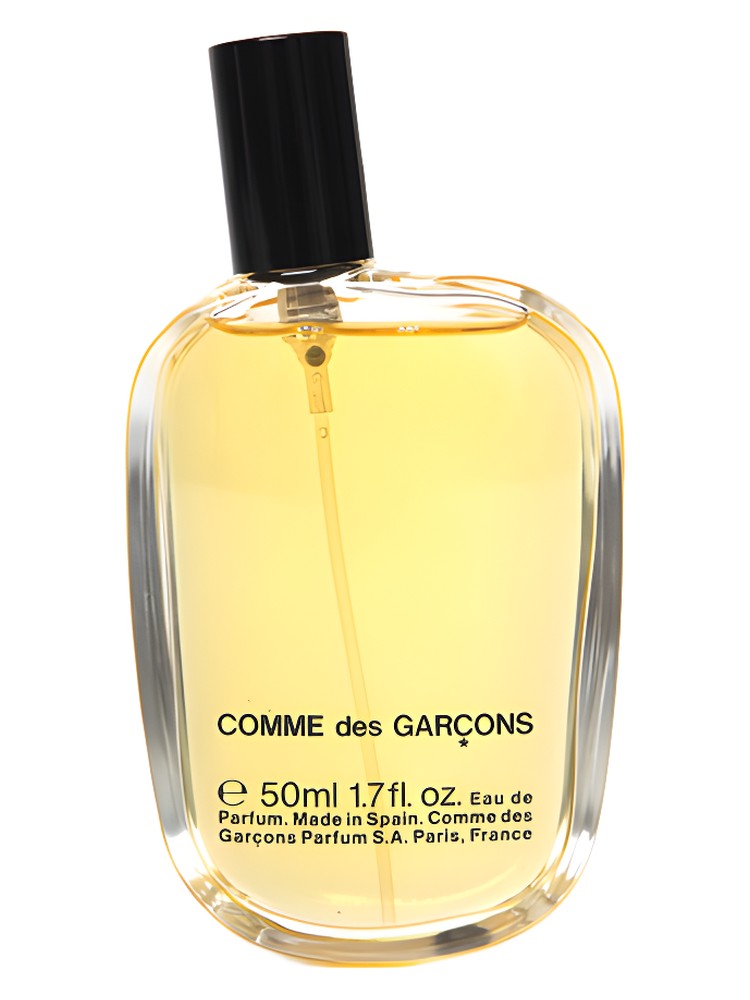 Comme des Garcons – Comme des Garcons