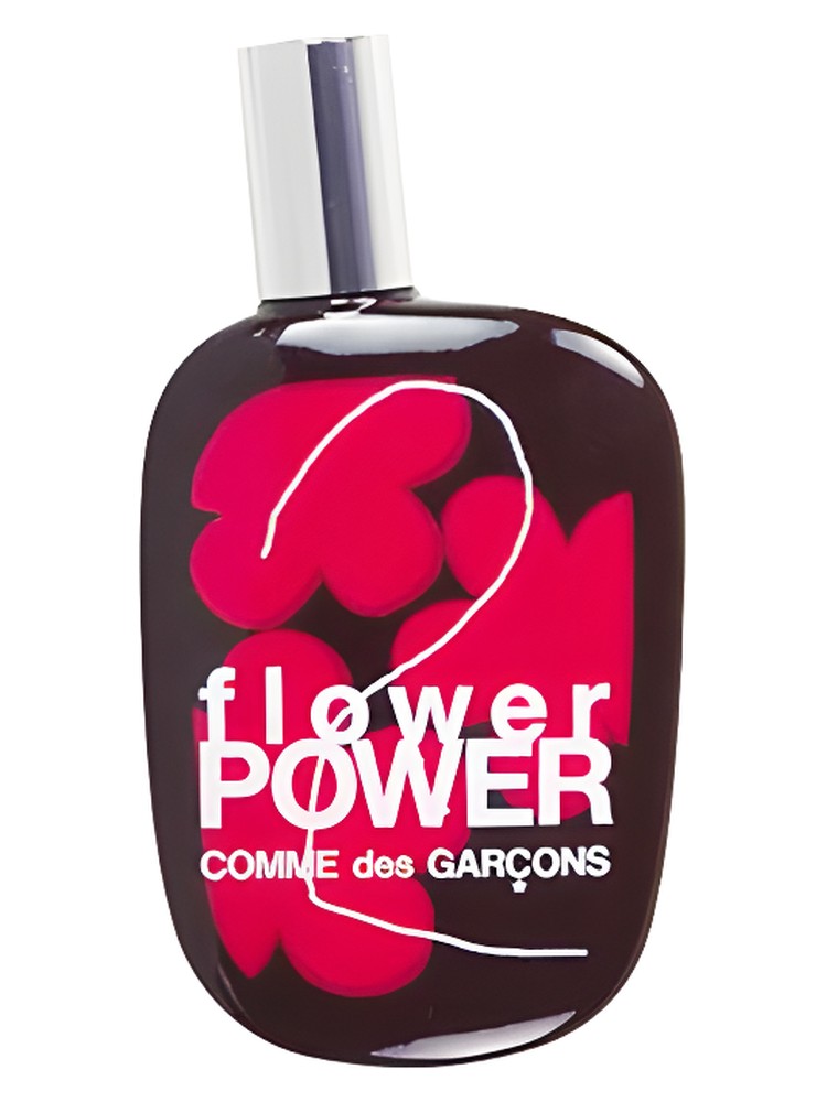 Comme des Garcons 2 Flower Power – Comme des Garcons
