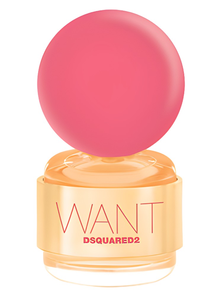 Want Pink Ginger – DSQUARED²