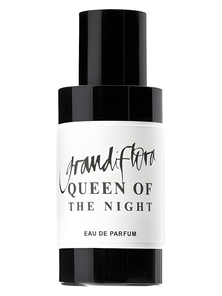 Queen of The Night – Grandiflora