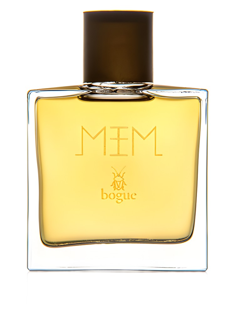 MEM – Bogue