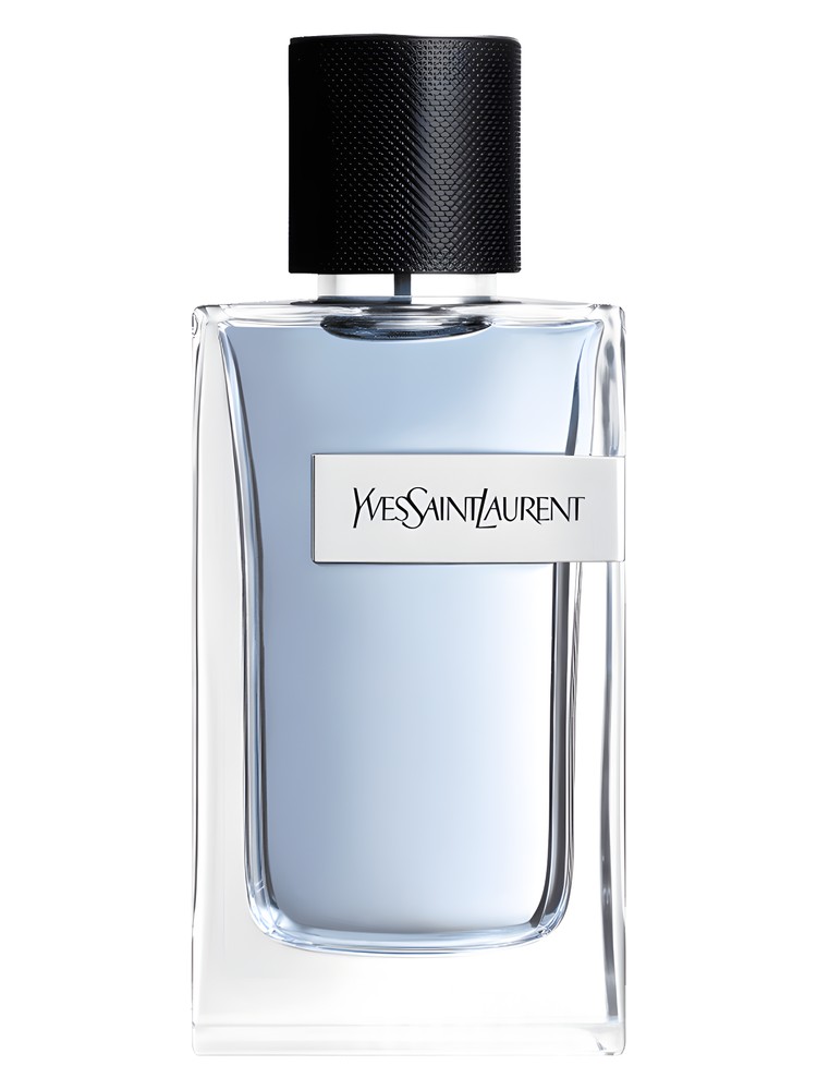 Yves Saint Laurent Y – Yves Saint Laurent