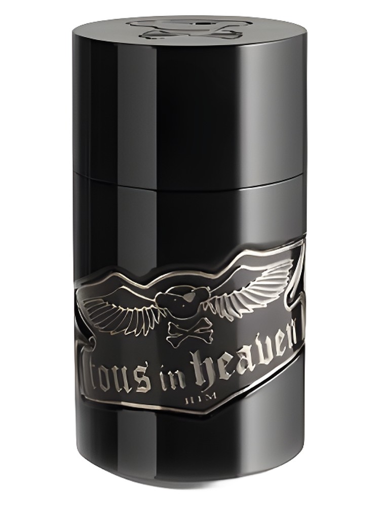 Tous In Heaven Him – Tous