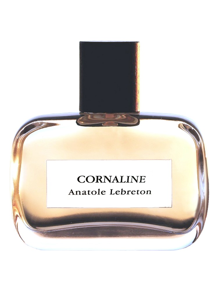 Cornaline – Anatole Lebreton