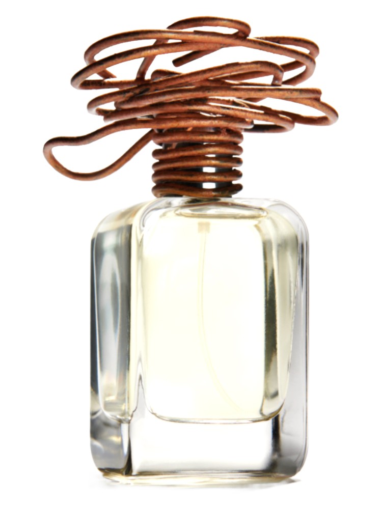 Lacura – Mendittorosa