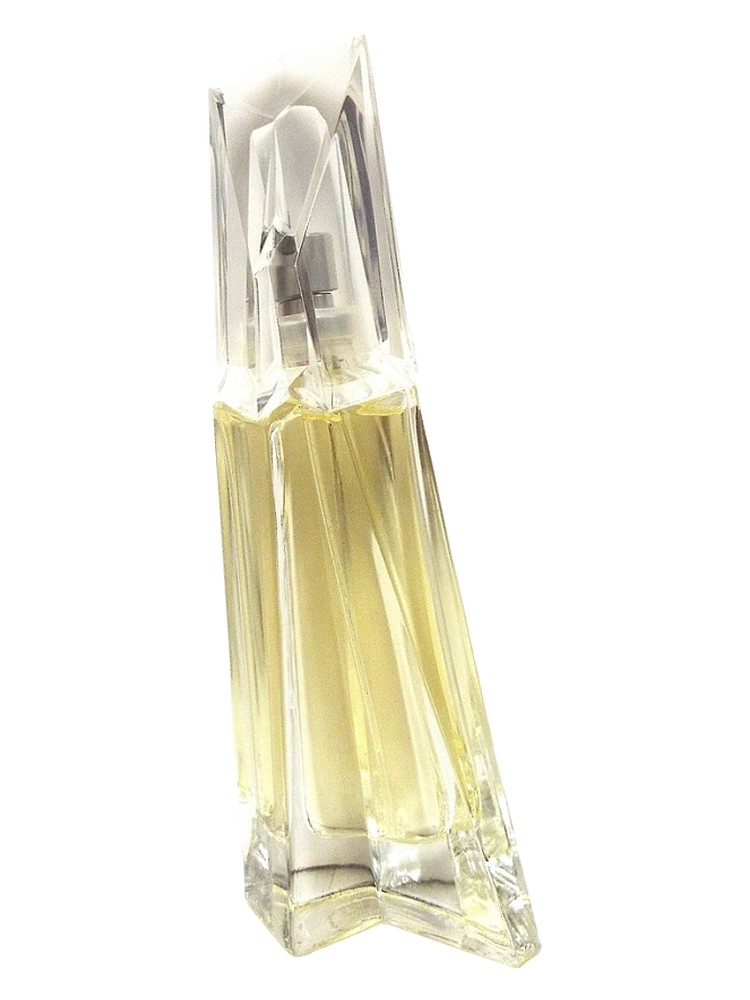 Chaos 1996 – Donna Karan