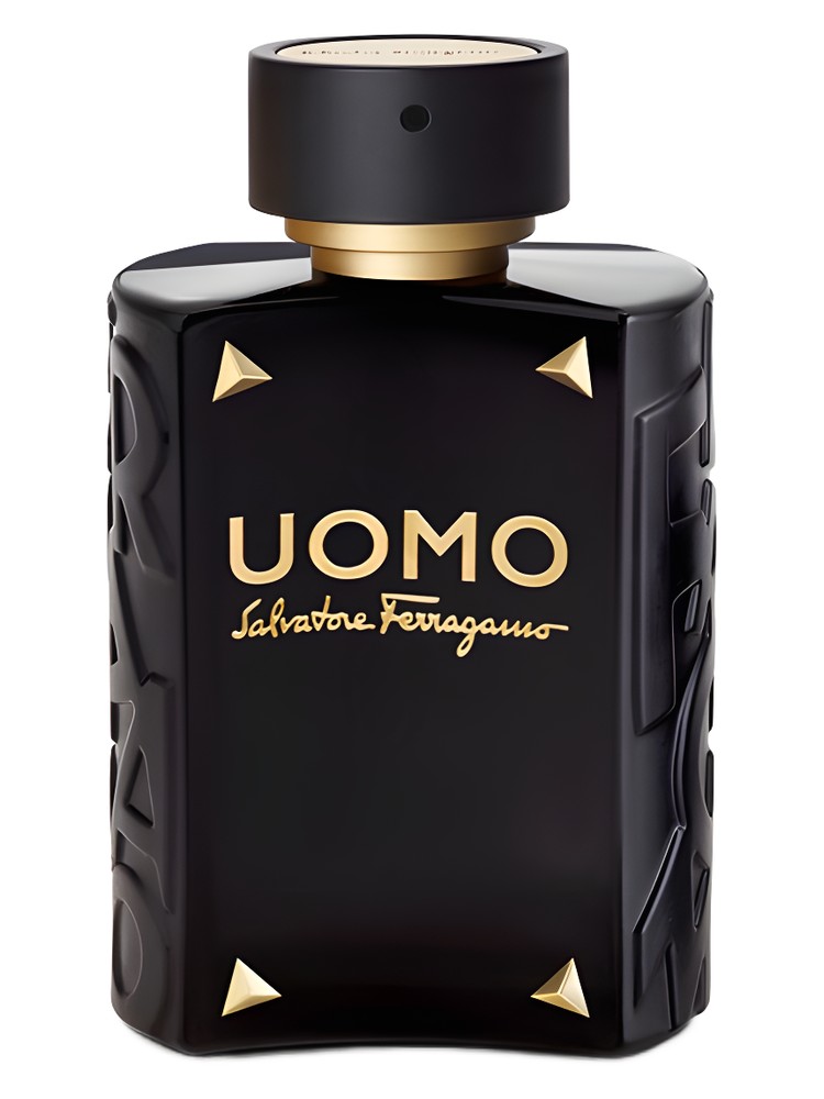 Uomo Salvatore Ferragamo Limited Edition – Salvatore Ferragamo