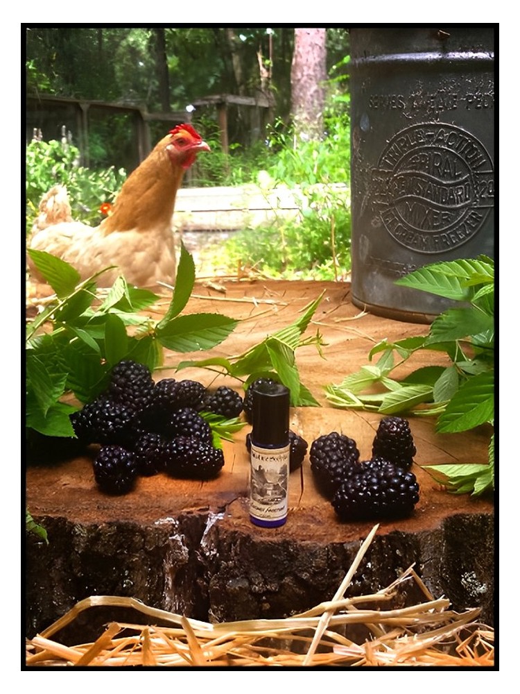 Blackburn Farmstead – Solstice Scents
