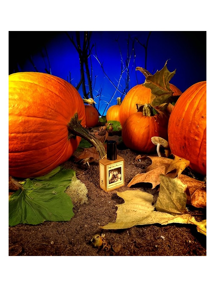 Gunnerson’s Pumpkin Patch – Solstice Scents