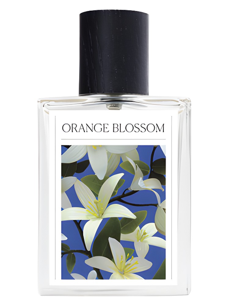 Orange Blossom – The 7 Virtues