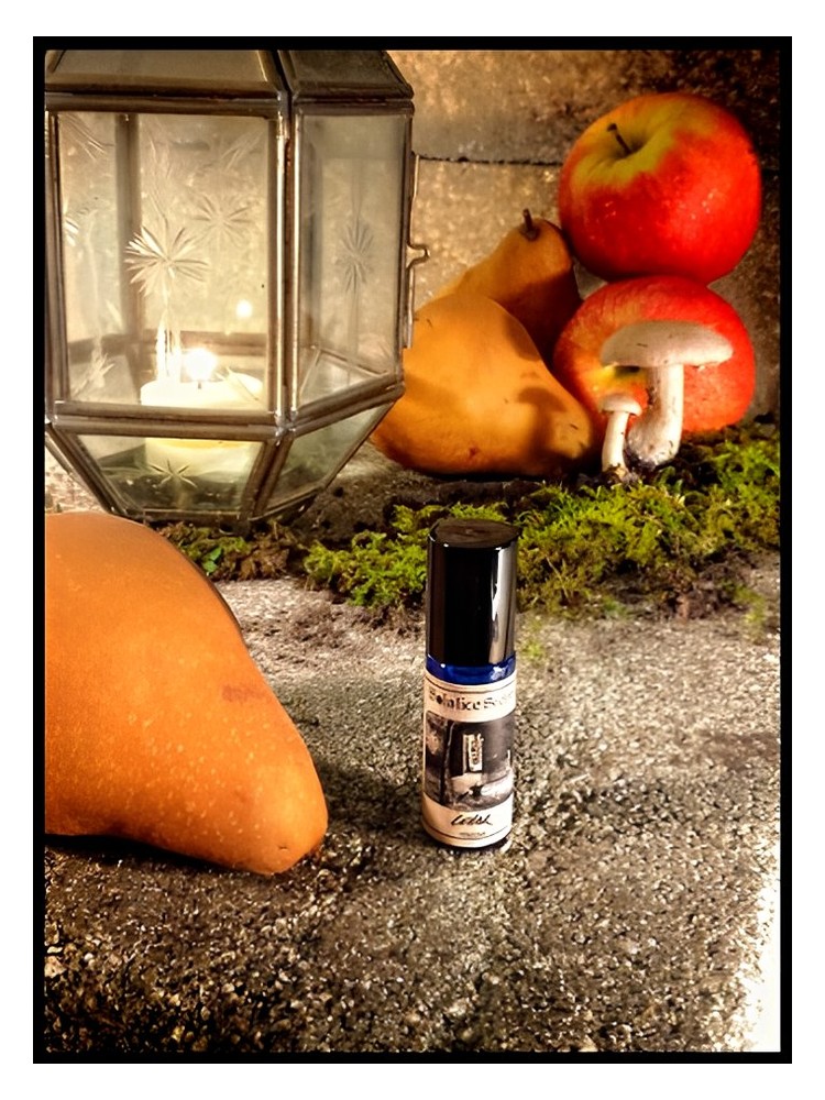 Cellar – Solstice Scents
