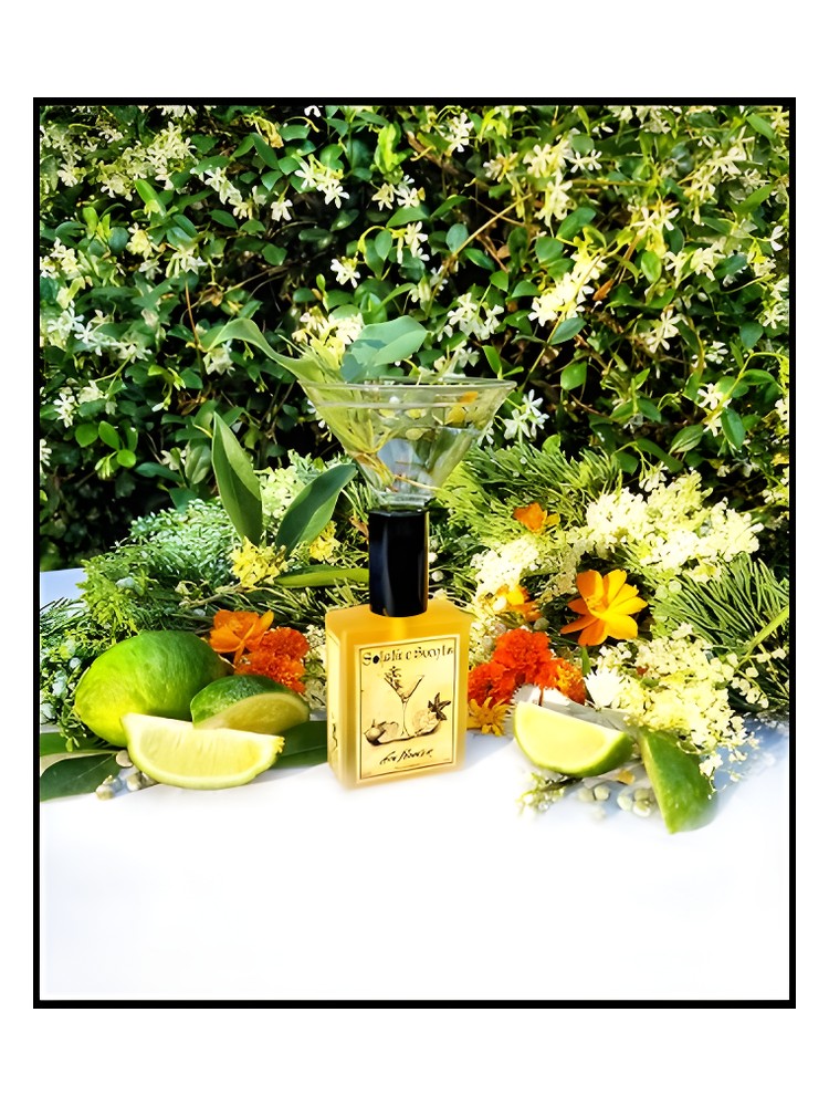 Gin Flower – Solstice Scents