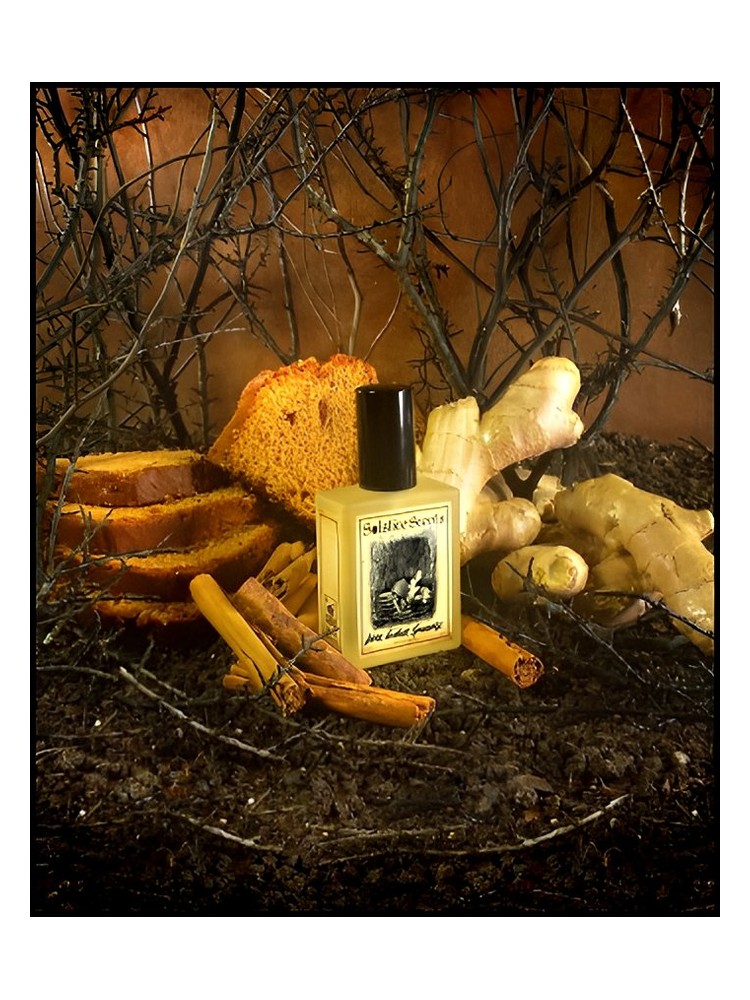 Dark Ginger Spicecake – Solstice Scents