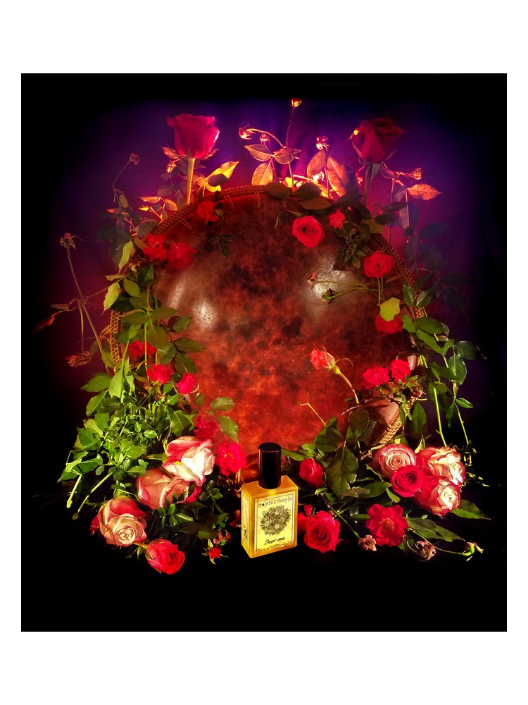Orient Rose – Solstice Scents