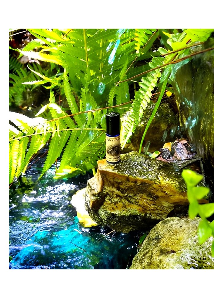Devil’s Millhopper – Solstice Scents