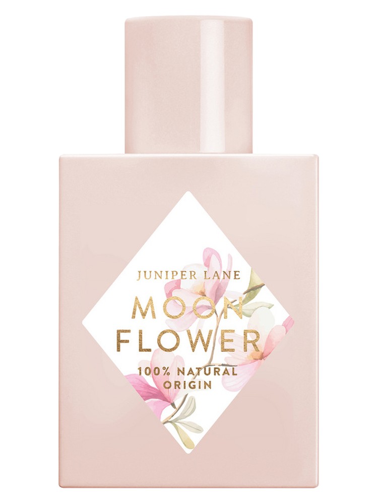 Moon Flower – Nature Blossom