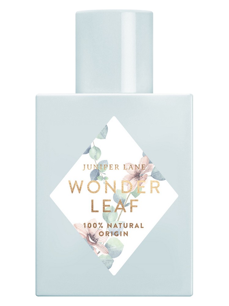 Wonder Leaf – Nature Blossom