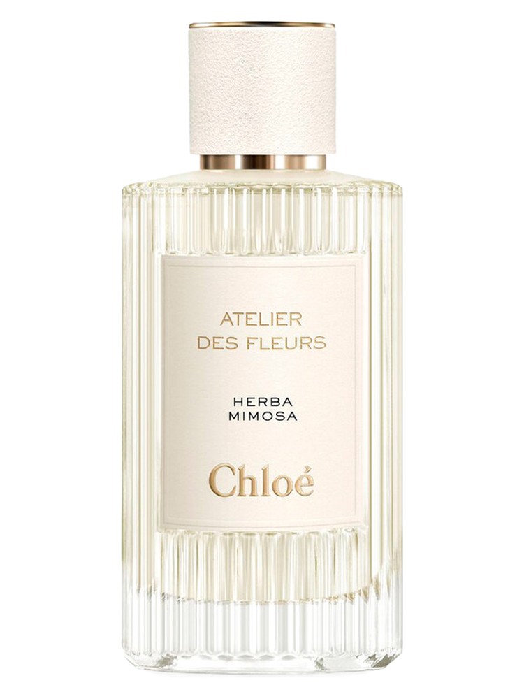 Herba Mimosa – Chloé