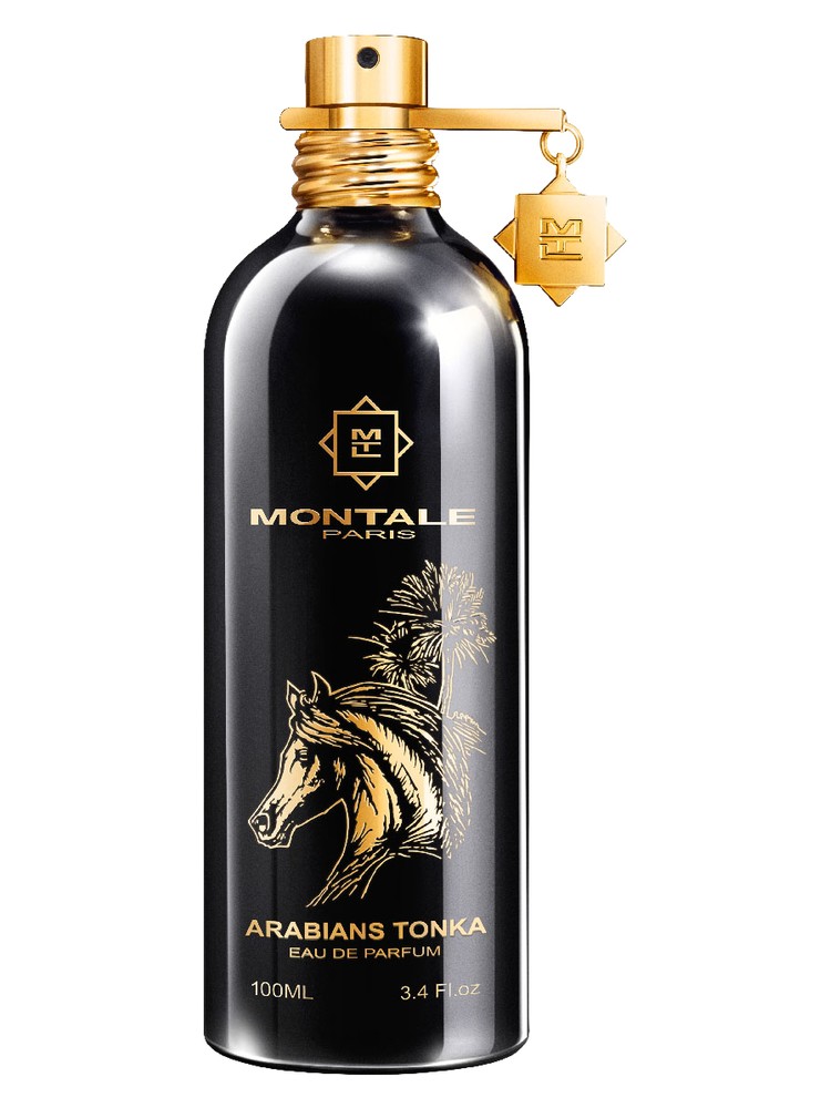 Arabians Tonka – Montale