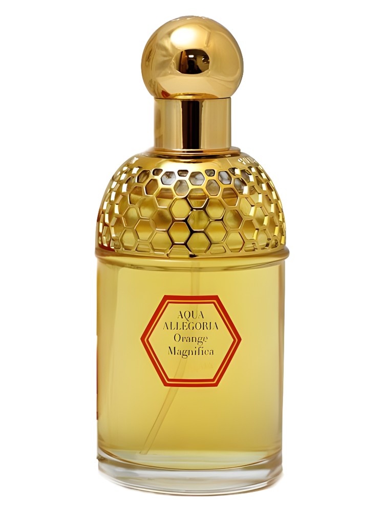 Aqua Allegoria Orange Magnifica – Guerlain