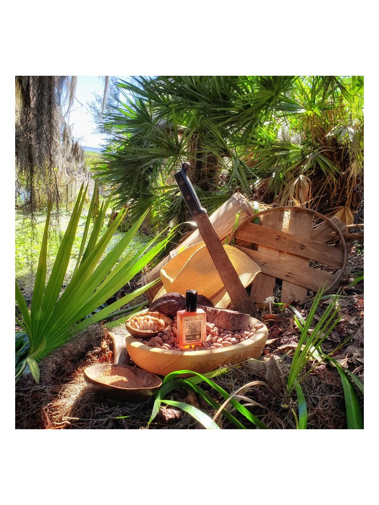 Estate Cacao – Solstice Scents
