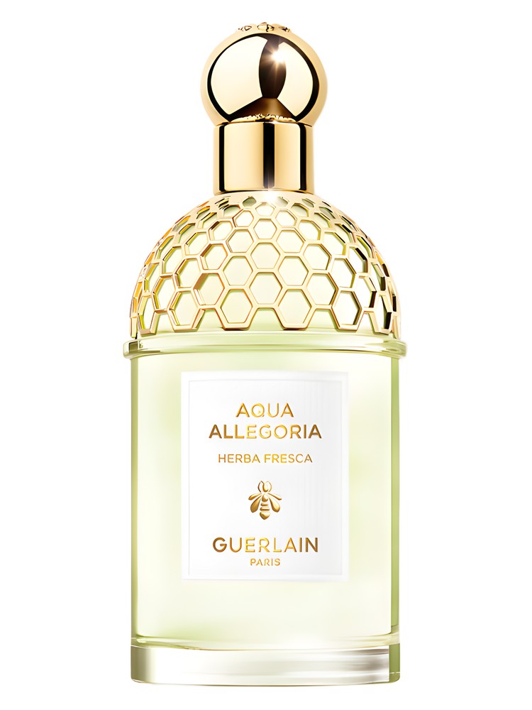 Aqua Allegoria Herba Fresca – Guerlain