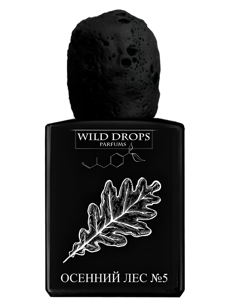 Autumn Forest 5 (Осенний Лес 5) – Wild Drops Parfums