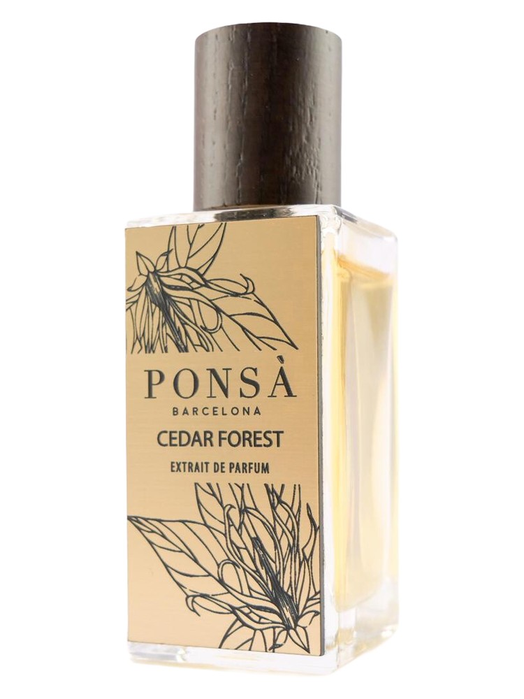Cedar Forest – Ponsa