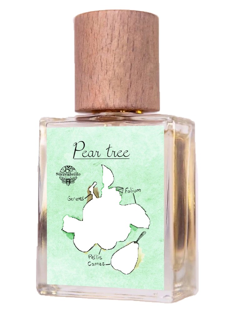 Pear Tree – Sucreabeille