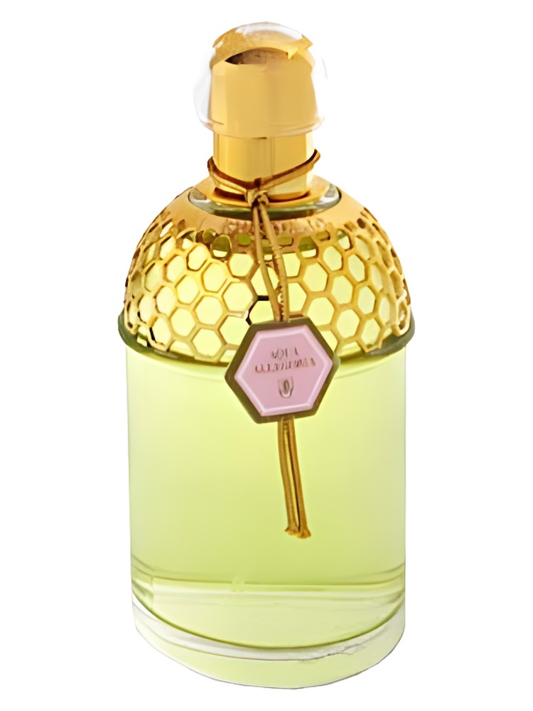 Aqua Allegoria Rosa Magnifica – Guerlain