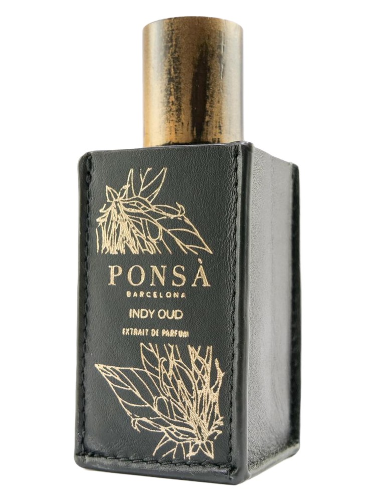 Indy Oud – Ponsa