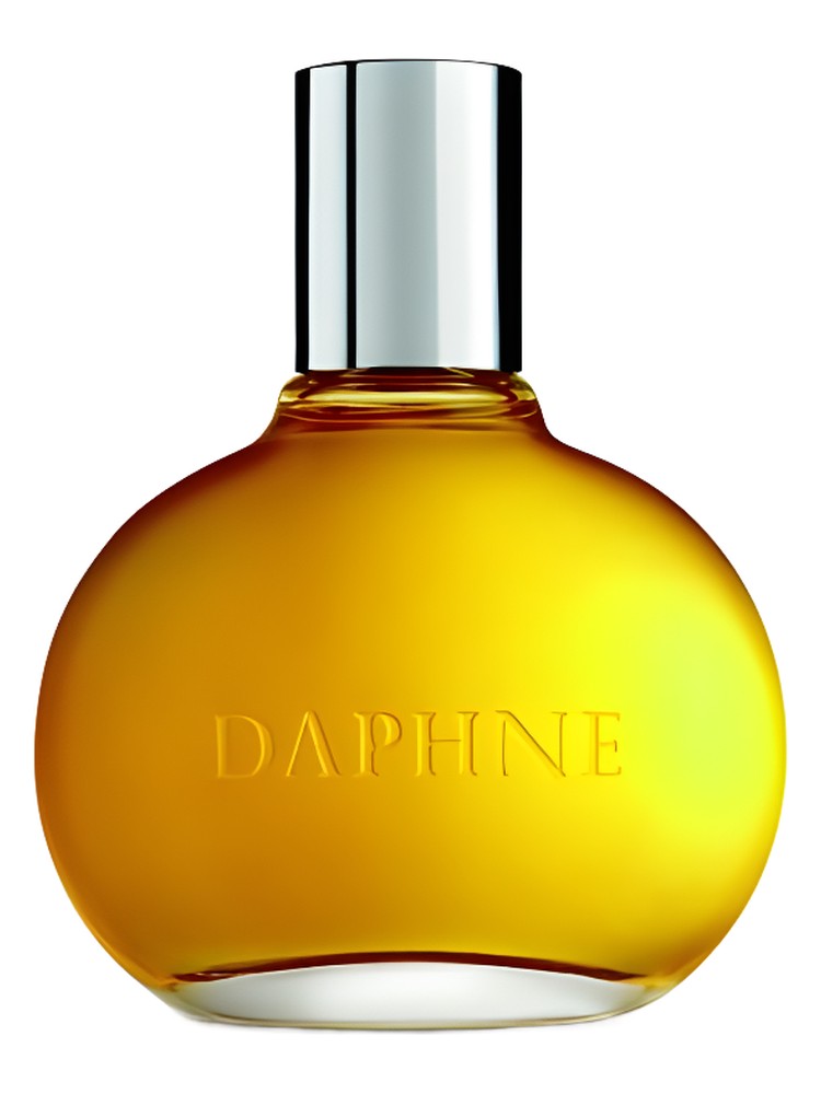 Daphne – Comme des Garcons