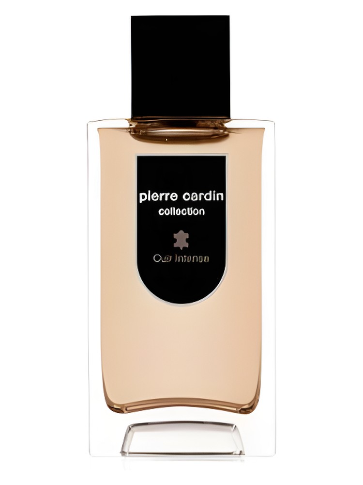 Pierre Cardin Collection Cuir Intense – Pierre Cardin