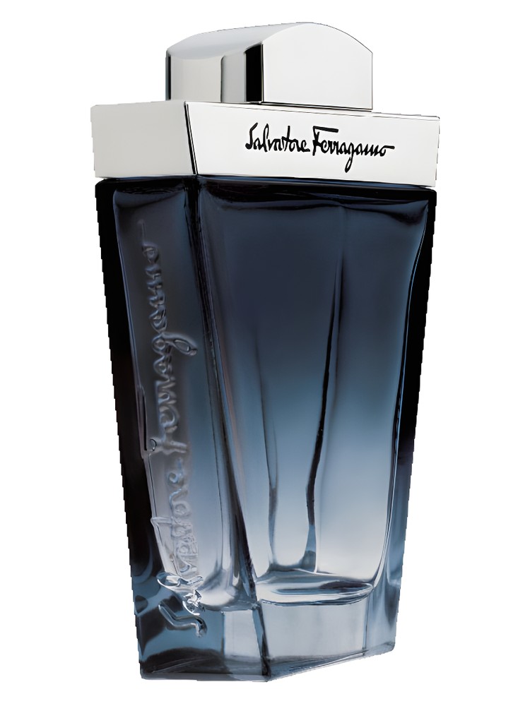 Salvatore Ferragamo Subtil Pour Homme – Salvatore Ferragamo