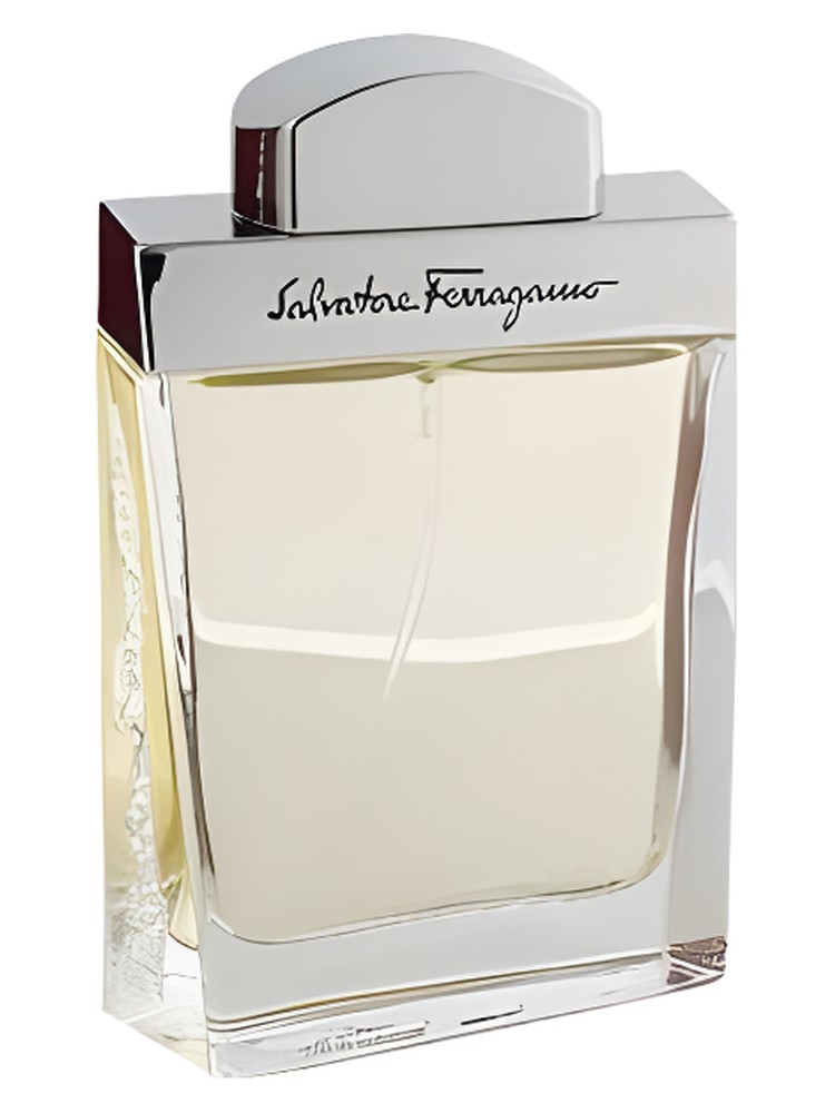 Salvatore Ferragamo Pour Homme – Salvatore Ferragamo