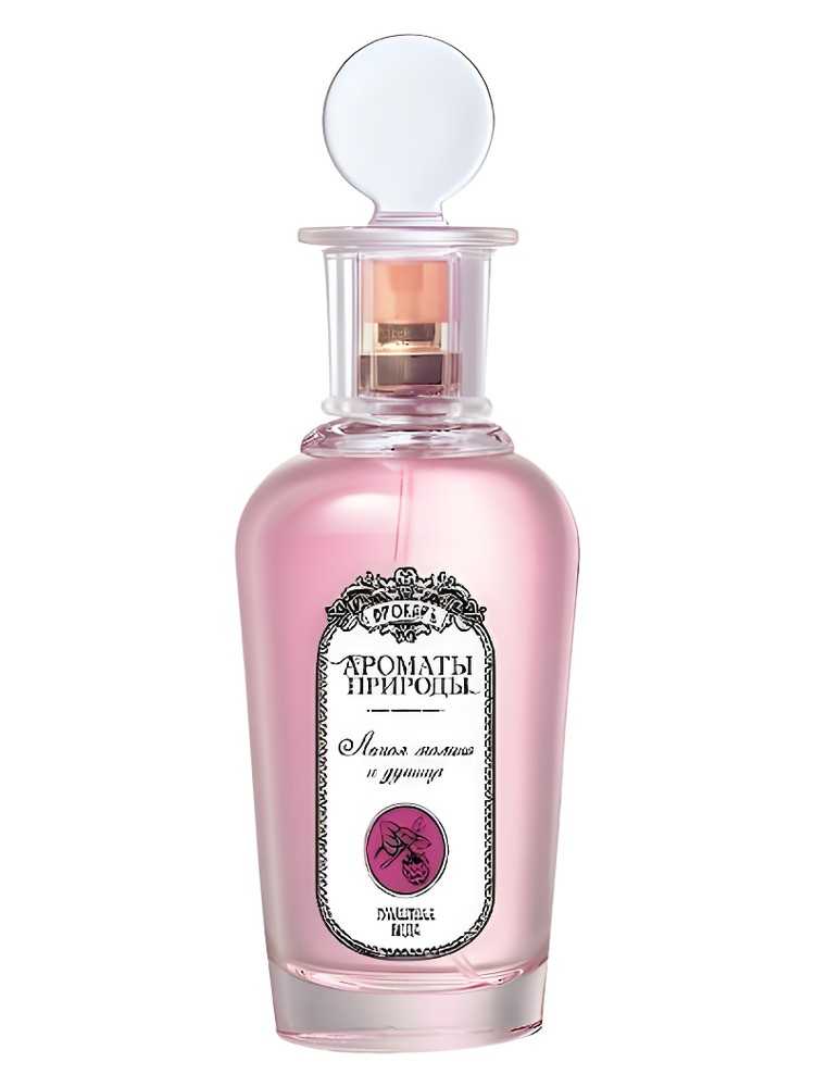 Лесная Малина и Душица – Wild Raspberries and Oregano – Brocard