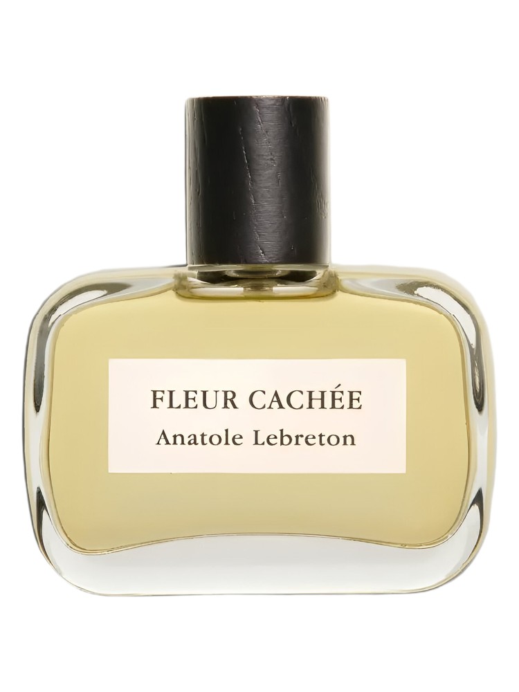 Fleur Cachée – Anatole Lebreton