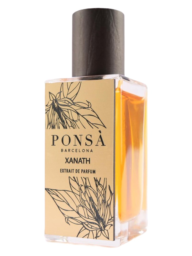 Xanath – Ponsa